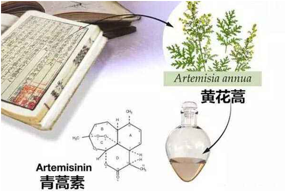 江南注册,江南(中国)：向中医药看齐，与世界共享中医药文化(图1)